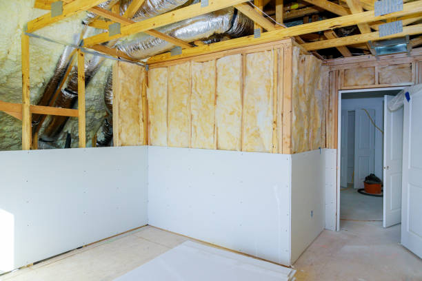 Best Geographic-Specific Insulation Services in Winnemucca, NV
