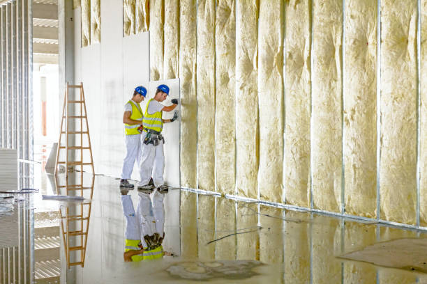 Best Insulation for Specific Applications in Winnemucca, NV